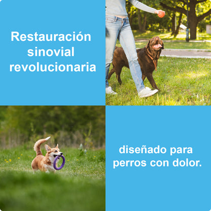 Freedom I Fórmula líquida para las articulaciones de tu perro